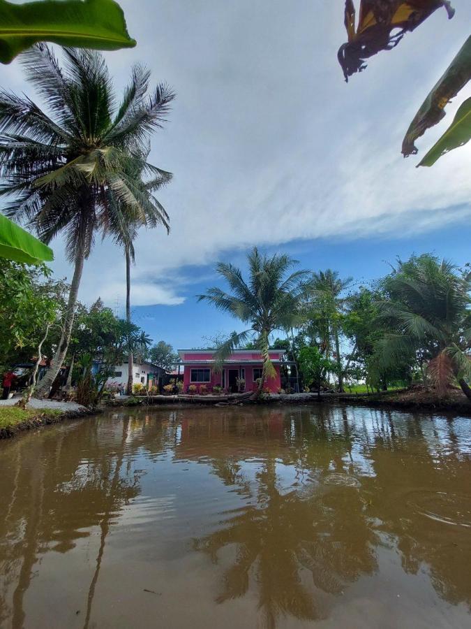 Pink Homestay D'Perlis Kangar Extérieur photo